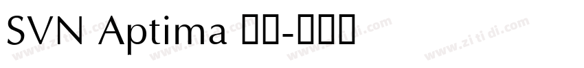 SVN Aptima 常规字体转换